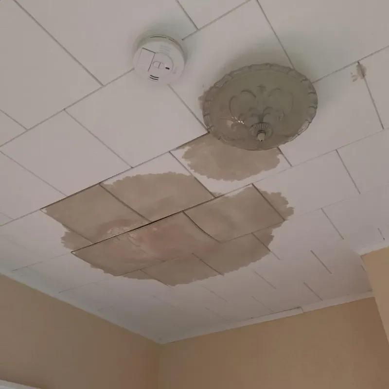 Ceiling Water Damage Repair in Anderson, MO
