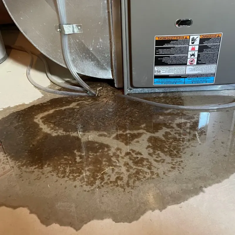 Pipe Burst and Leak Restoration in Anderson, MO