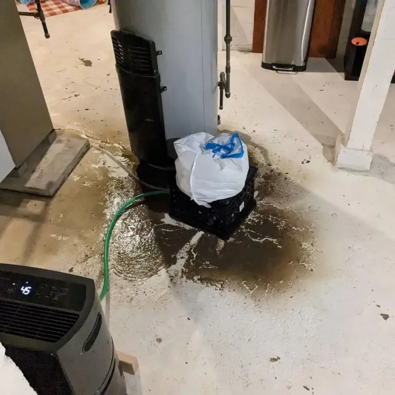 Sewage Backup Cleanup Service in Anderson, MO